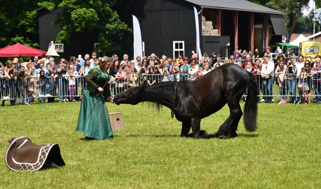 Paardenkamp in Soest