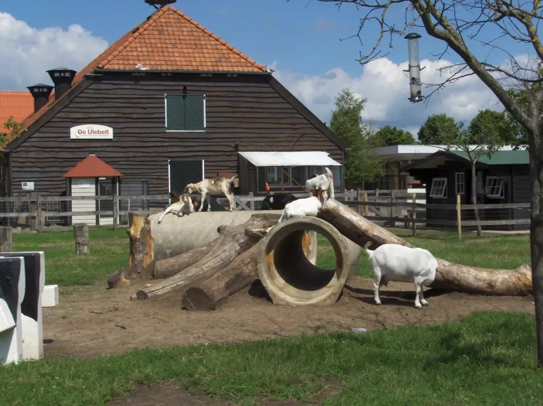 De Ulebeld in Deventer
